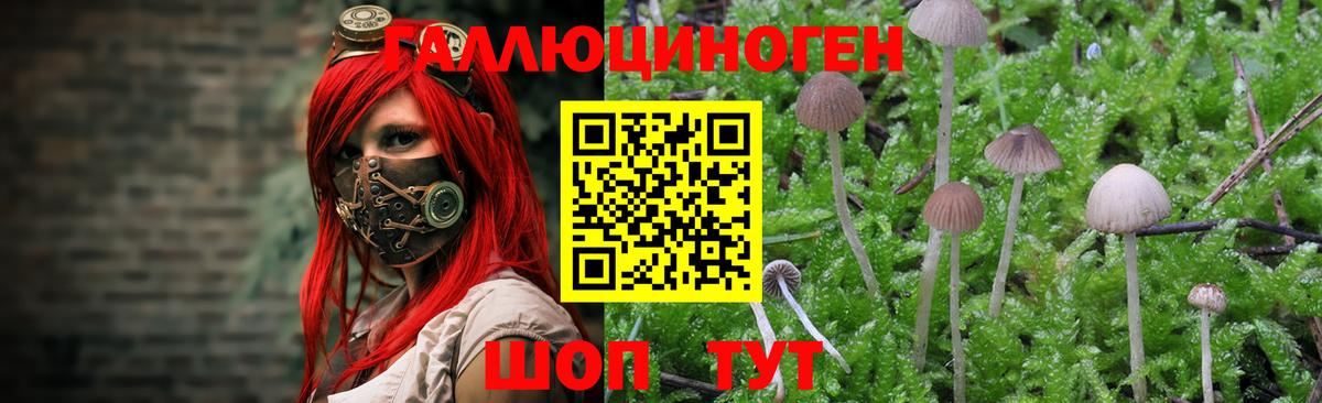 Псилоцибиновые грибы Magic Shrooms  Вход с VPN  Ржев 